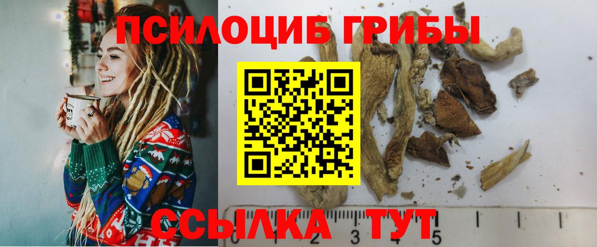 Галлюциногенные грибы ЛСД Ессентуки