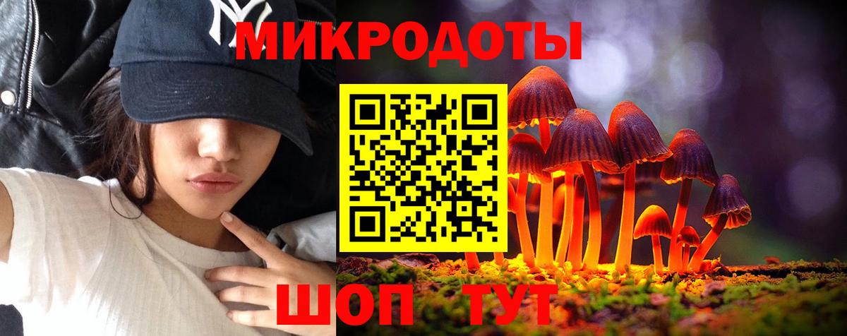 Псилоцибиновые грибы Cubensis  Псилоцибиновые грибы мухоморы  Вход с VPN  Ессентуки 