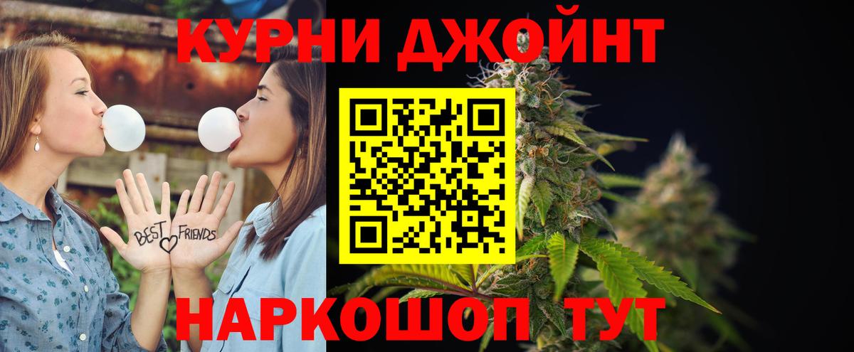Конопля гибрид Ессентуки